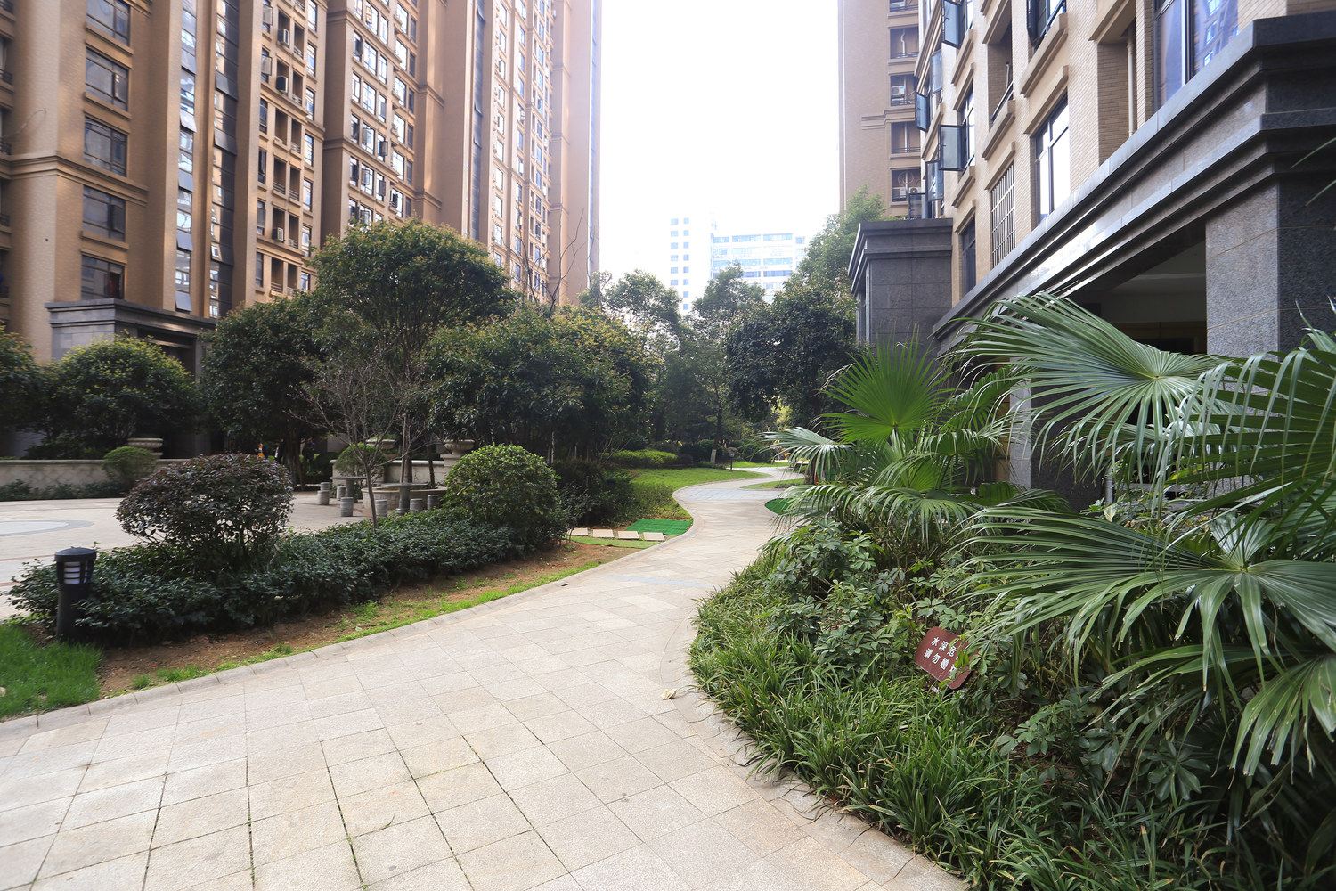长沙麦子家普通公寓(分店)