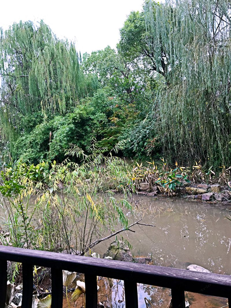 长沙聚点墅派独栋别墅(含浦中路分店)