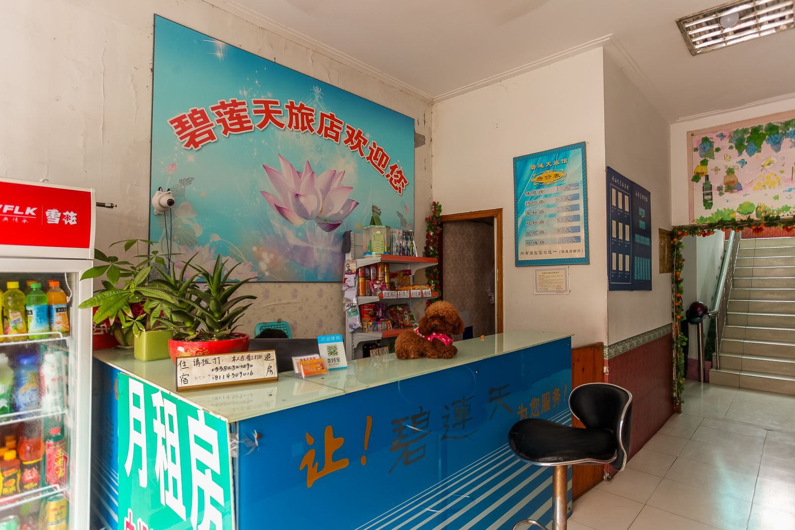 公共区域