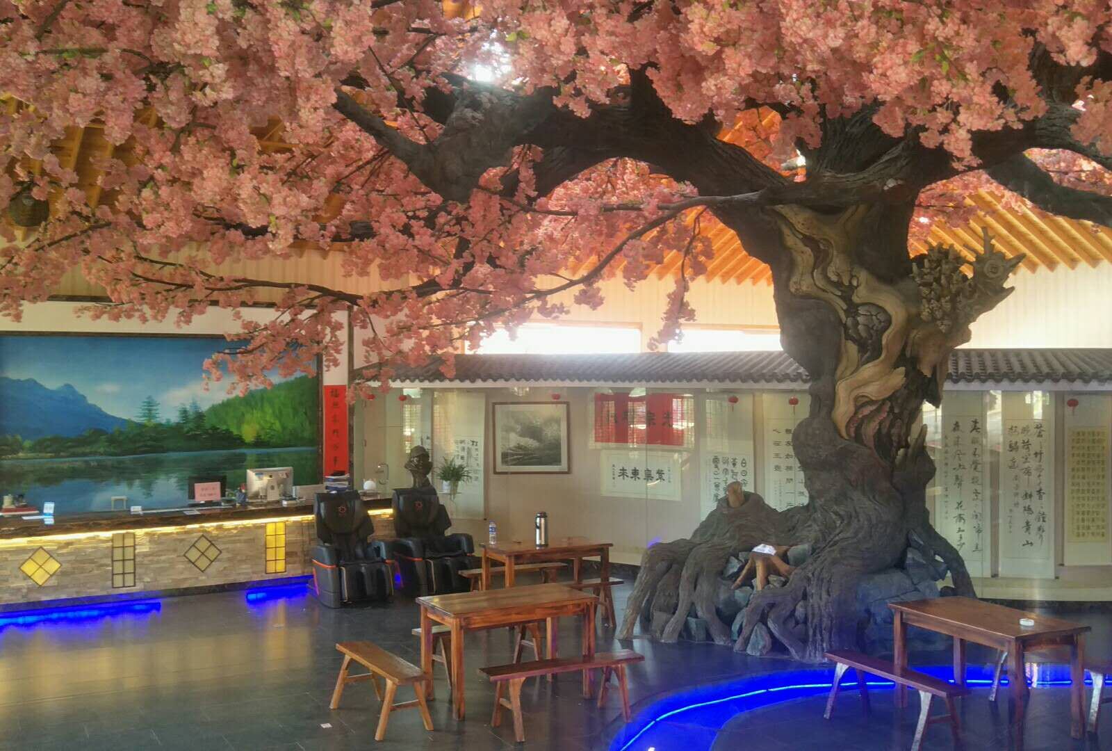公共区域