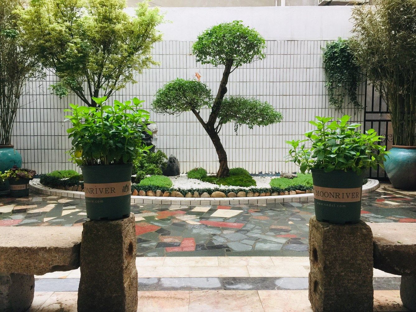 常州哼哼小院