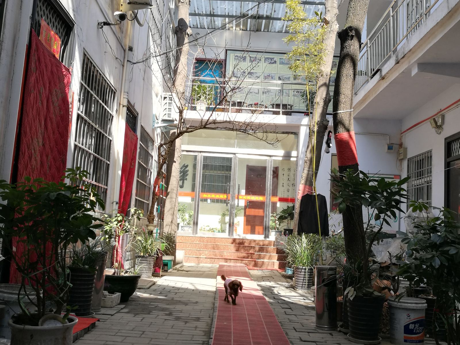 登封知正苑客栈