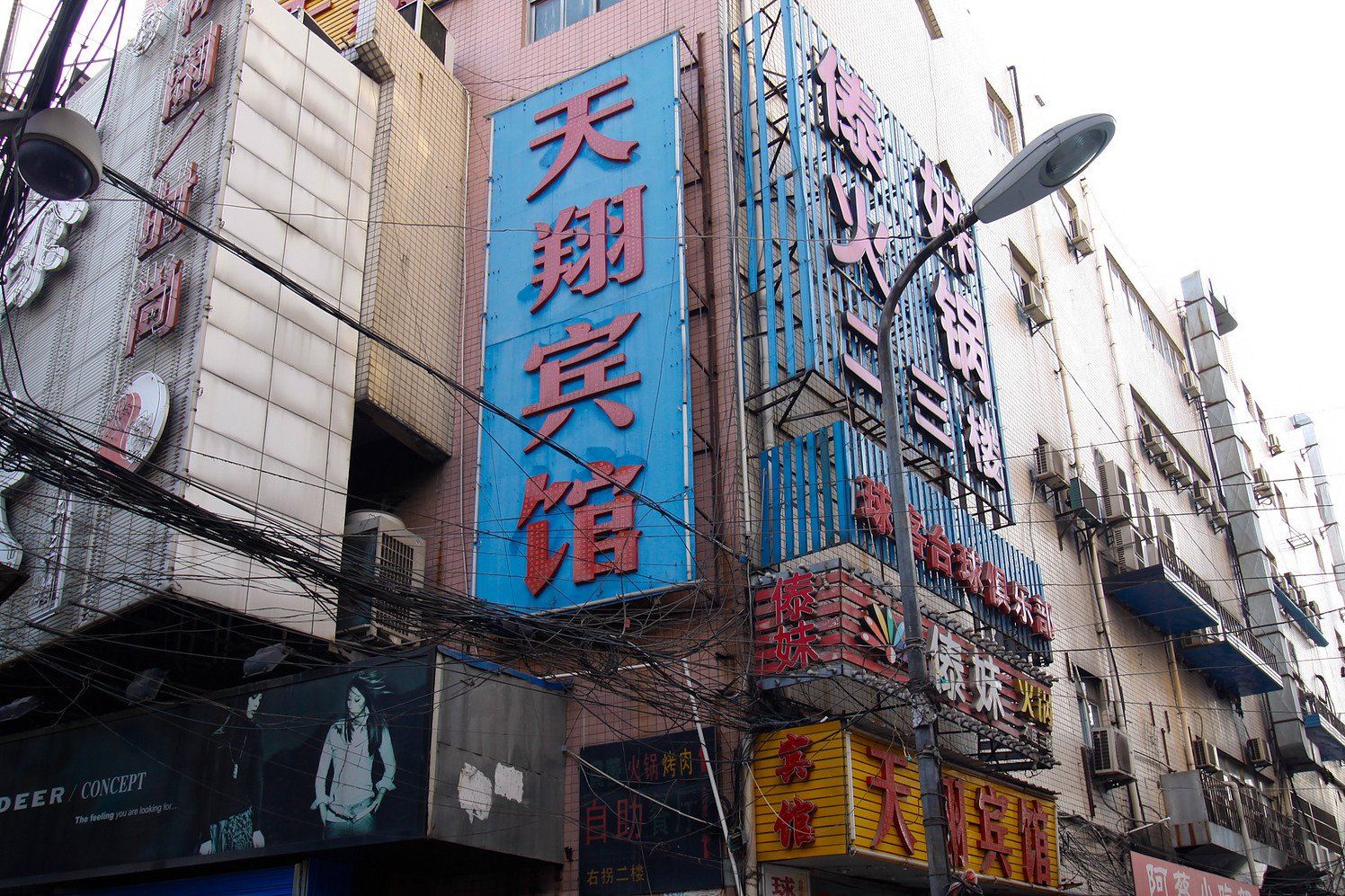 外观