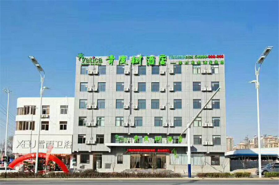 青皮树酒店(合肥王岗路地铁站店)