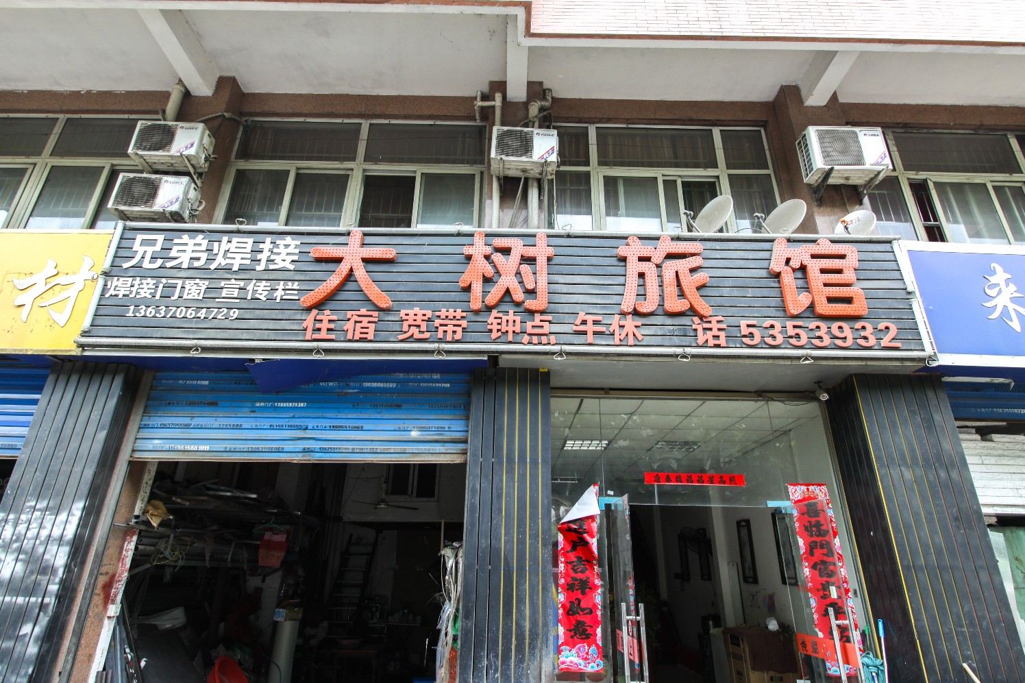 合肥大树旅馆