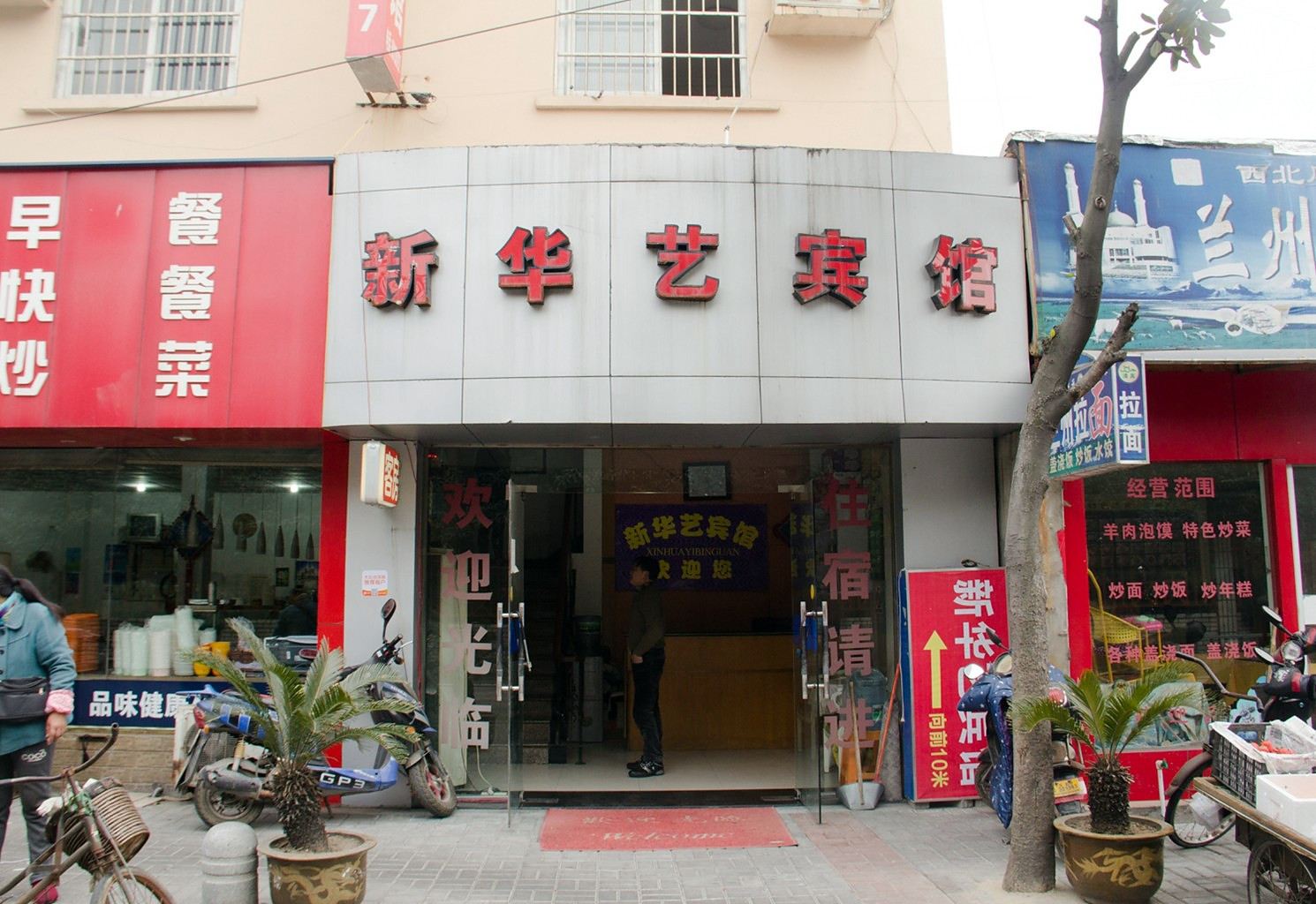 外观