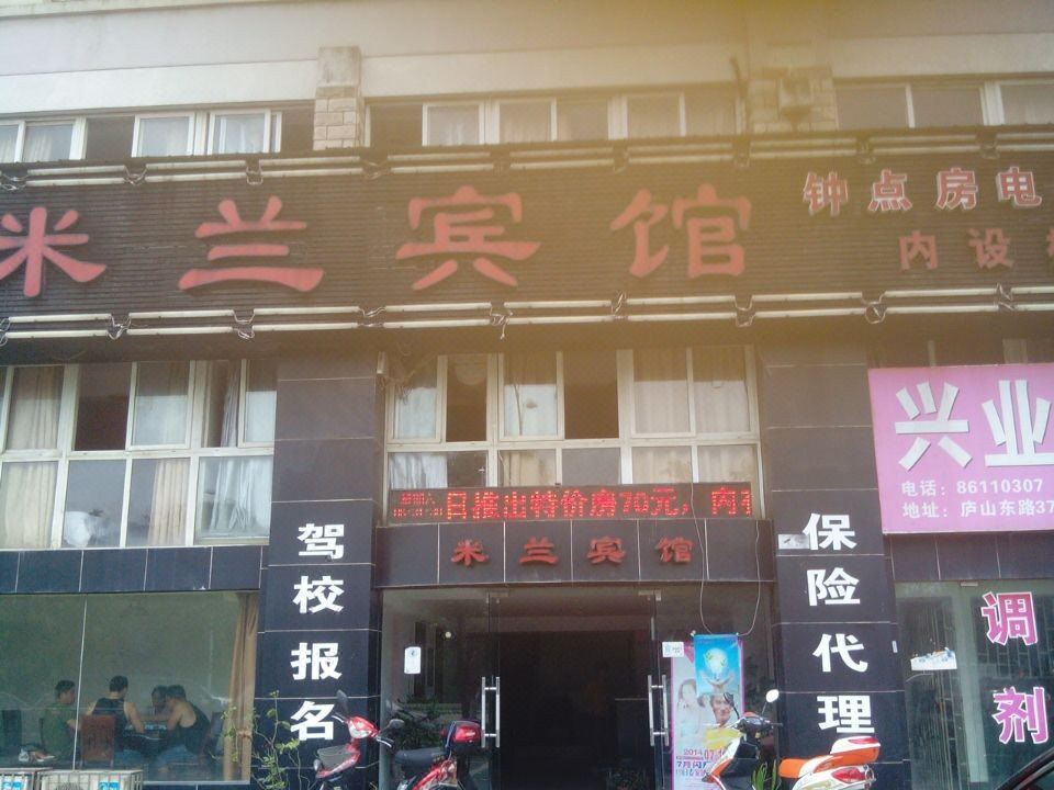 外观
