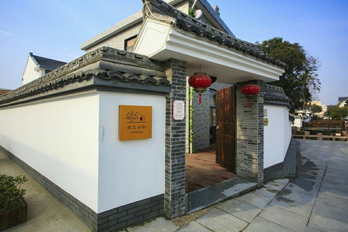 宁波有茗老树民宿
