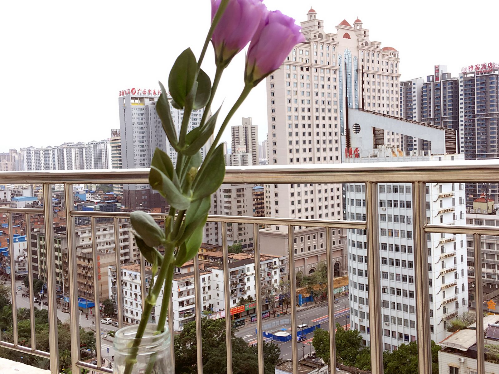 南宁柠檬.Tree青年旅舍