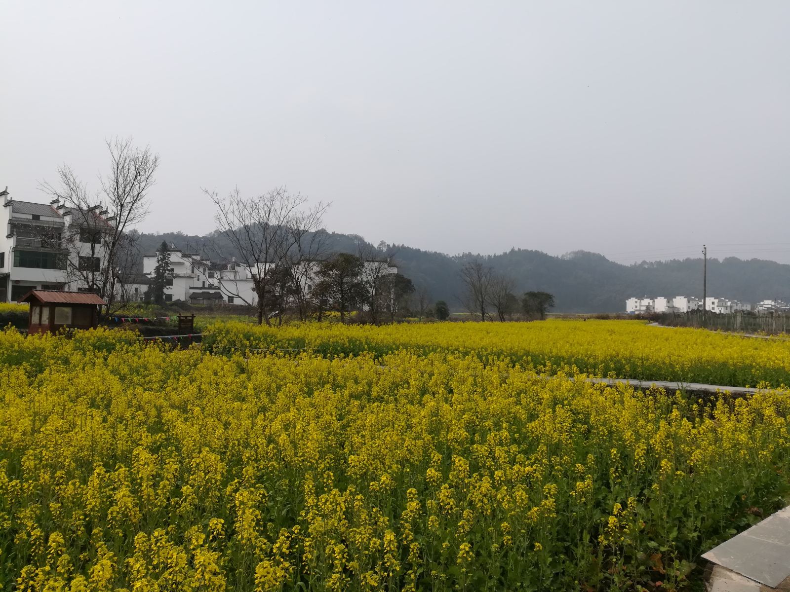 婺源好地方客馆