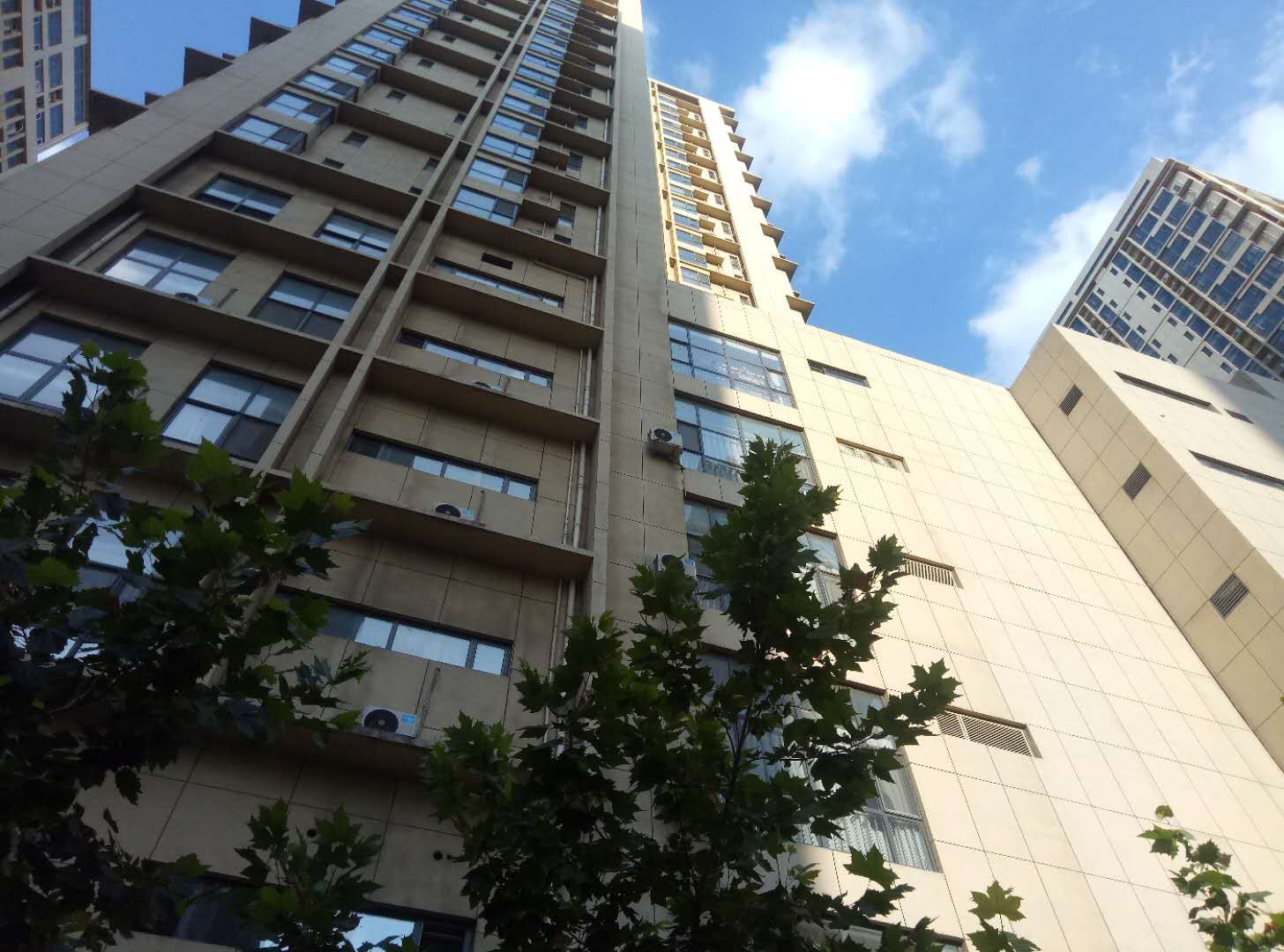 猫客栈(石家庄红旗大街店)
