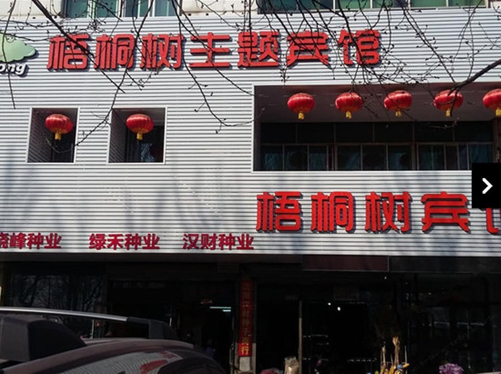 沈阳梧桐树主题宾馆