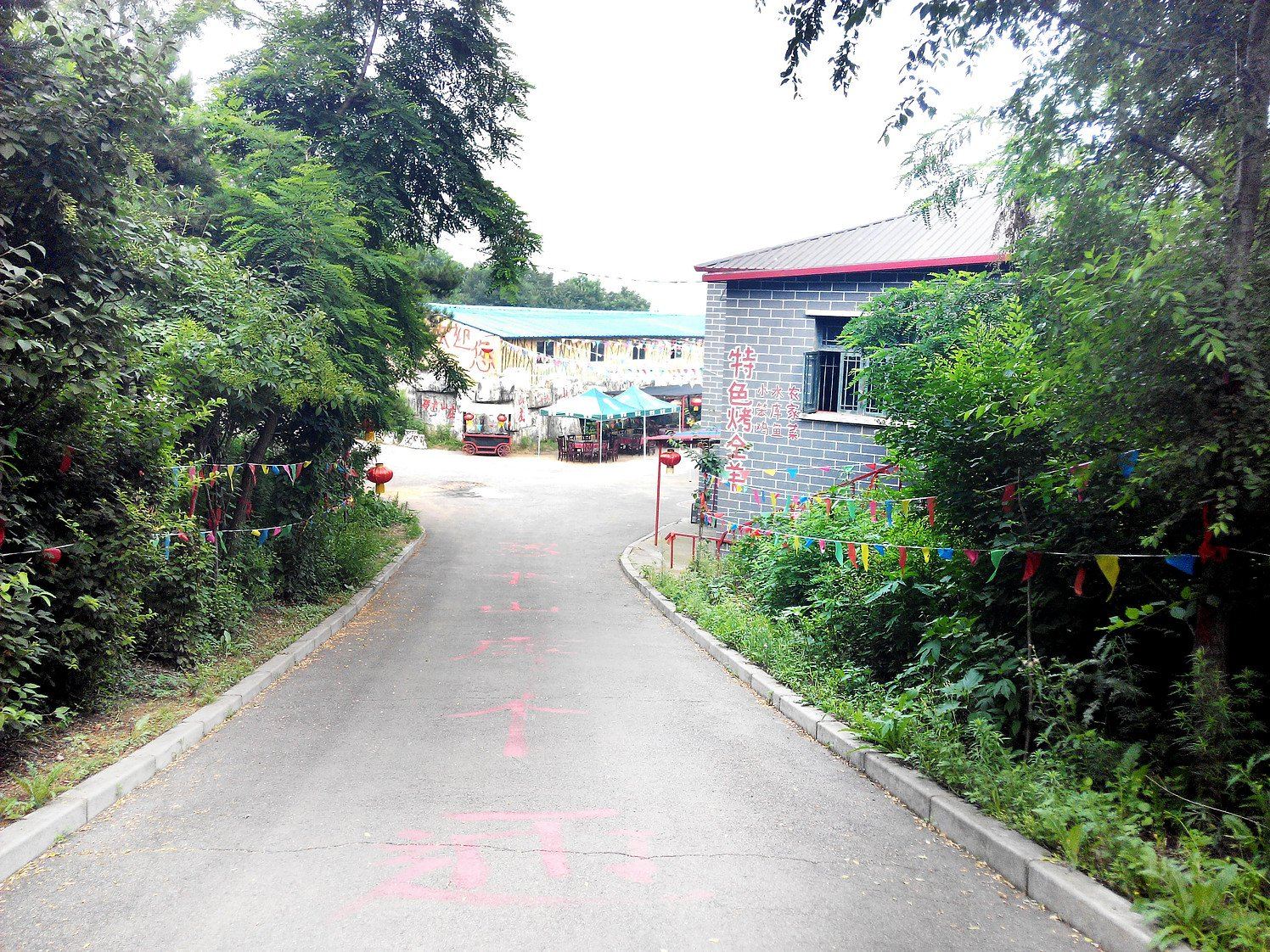 公共区域