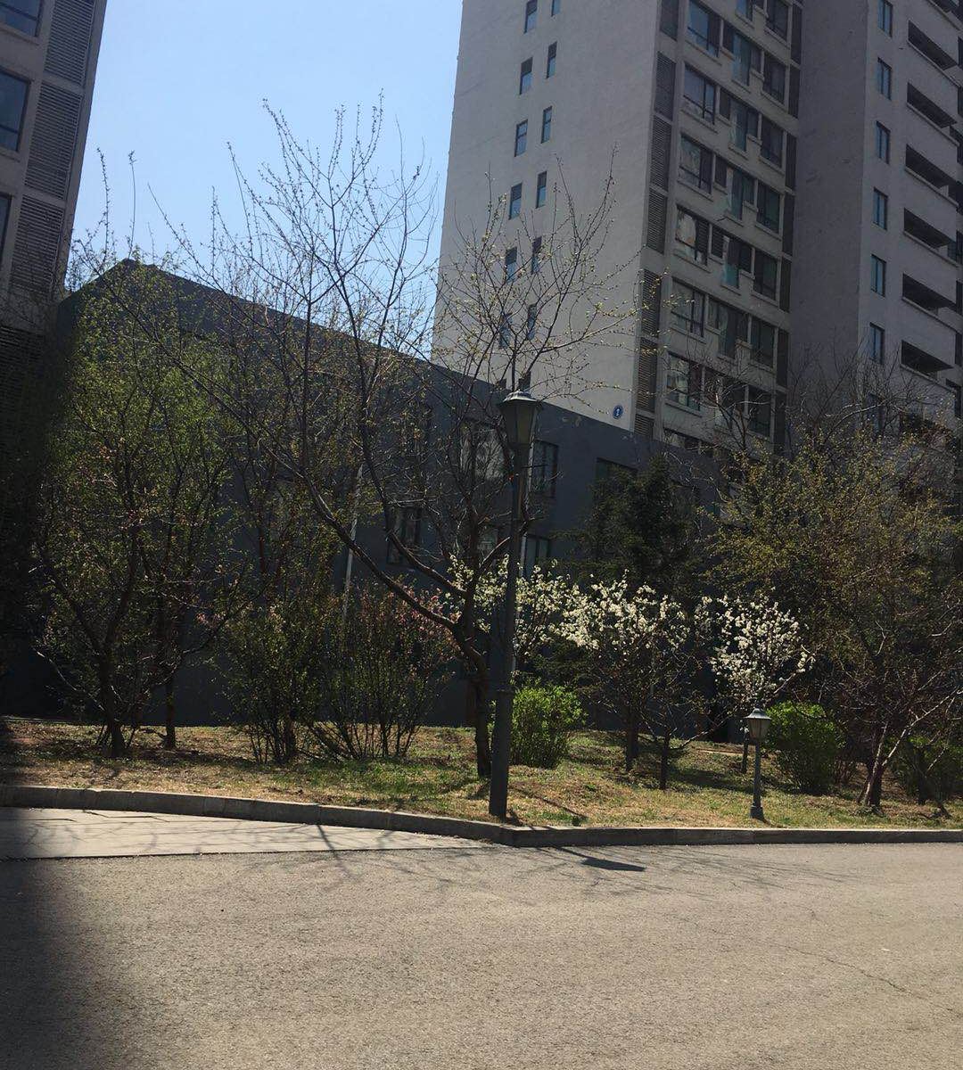 爱屋及乌精品公寓(沈阳建筑大学店)