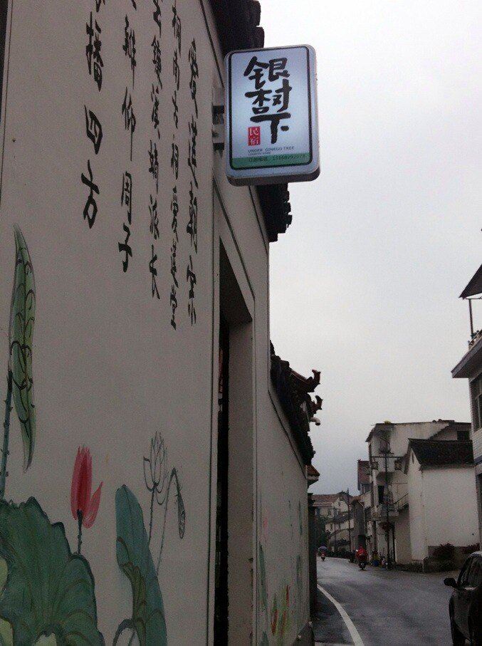 桐庐银杏树下客栈