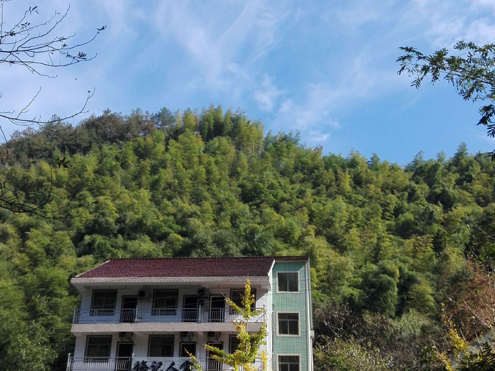 桐庐白云源梅记人家