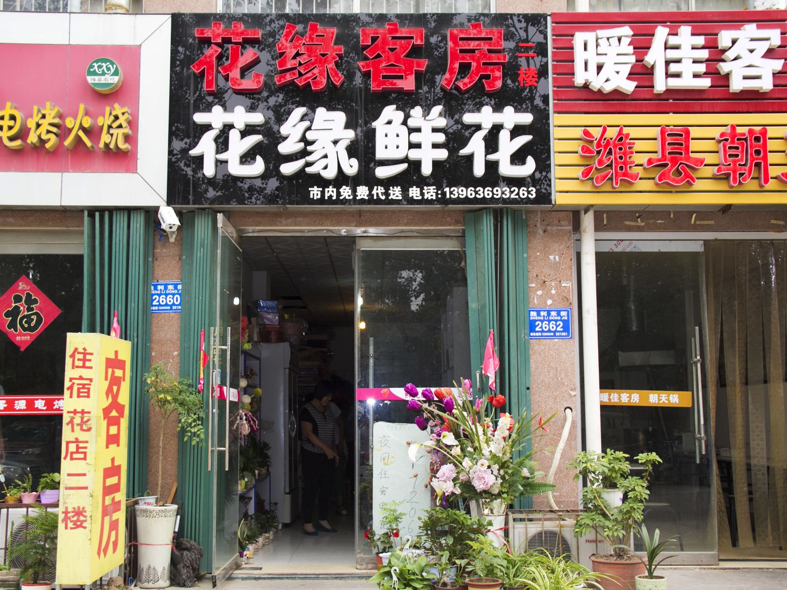 外观