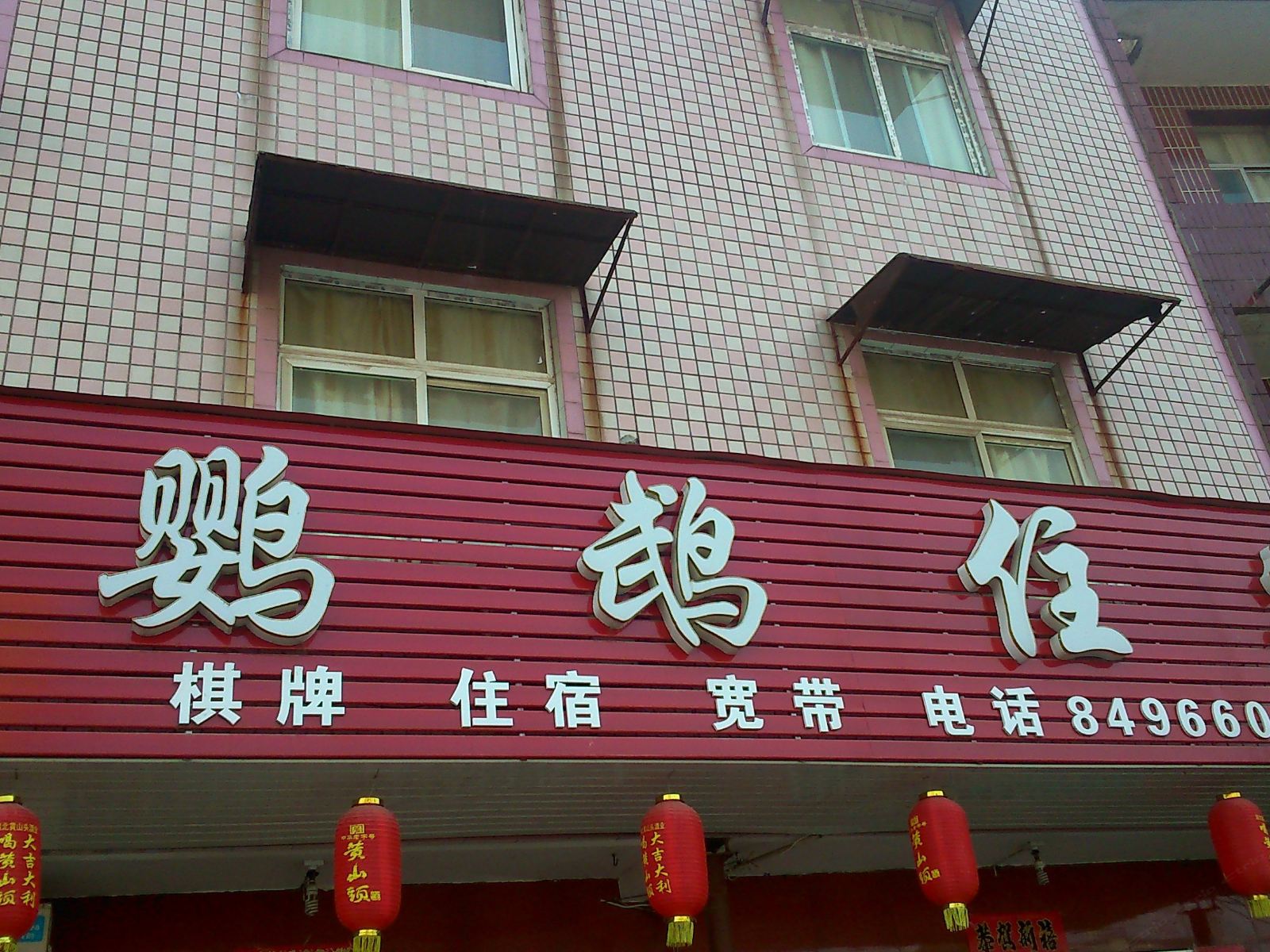 武汉鹦鹉住宿