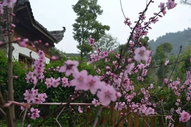武汉深山第二排农家饭庄
