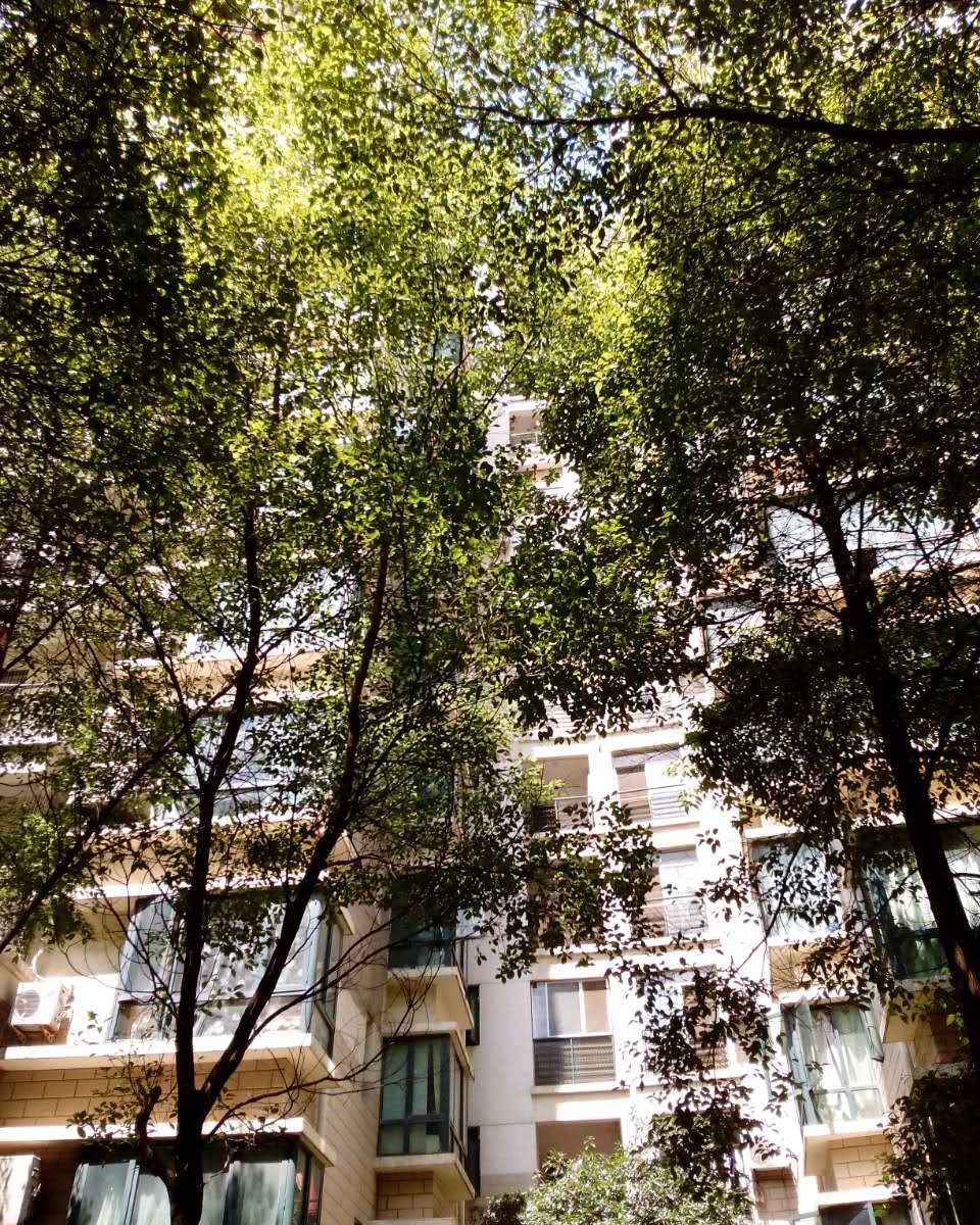 武汉豪园快捷住宿
