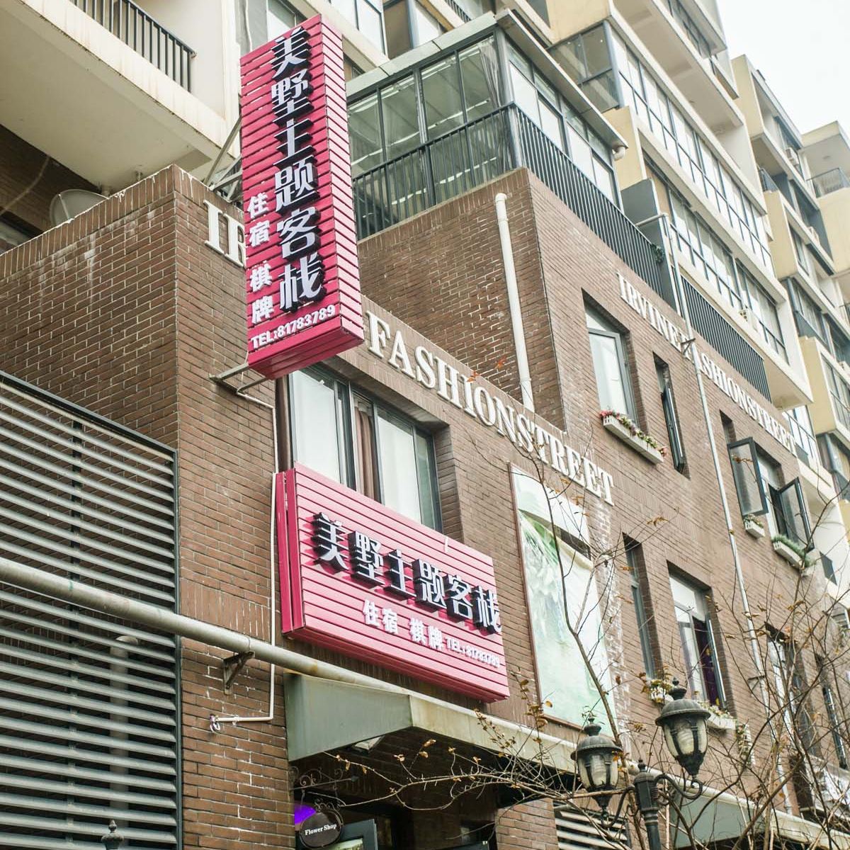 外观