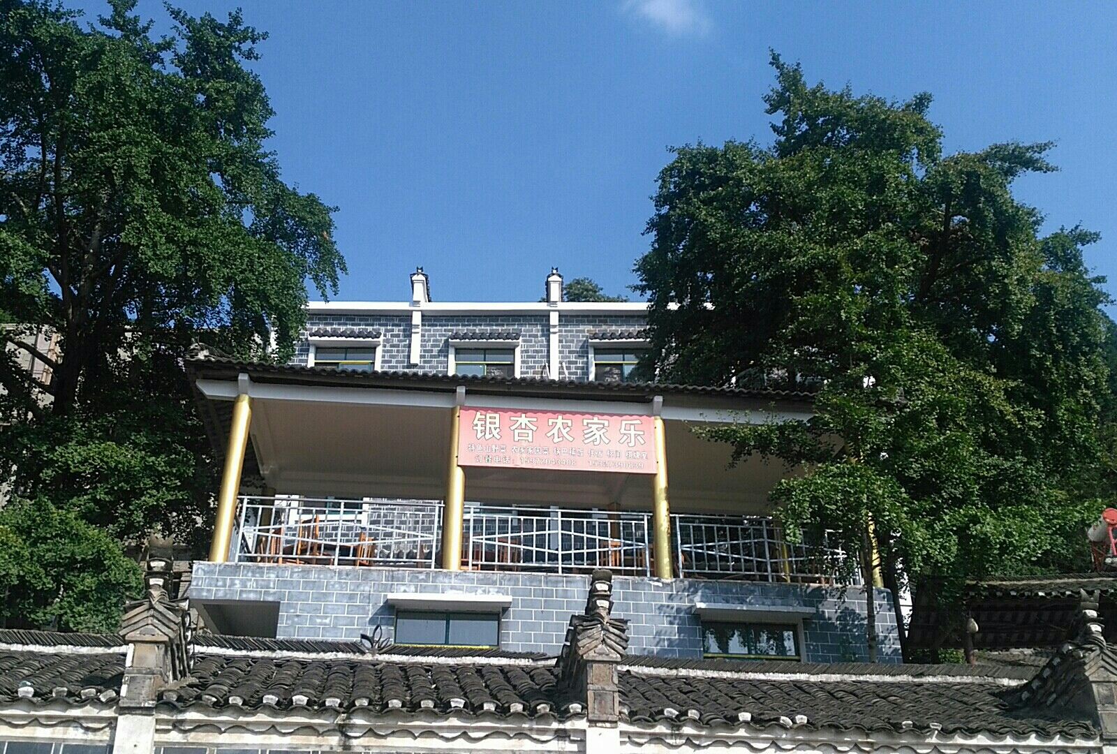 武汉银杏农家乐
