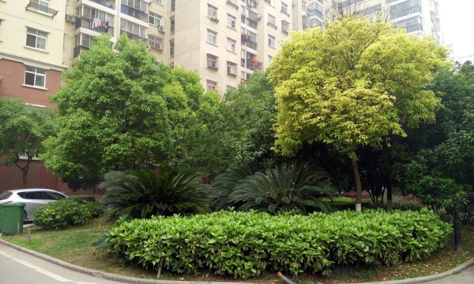 武汉欢乐谷东湖磨山普通公寓(智和路分店)