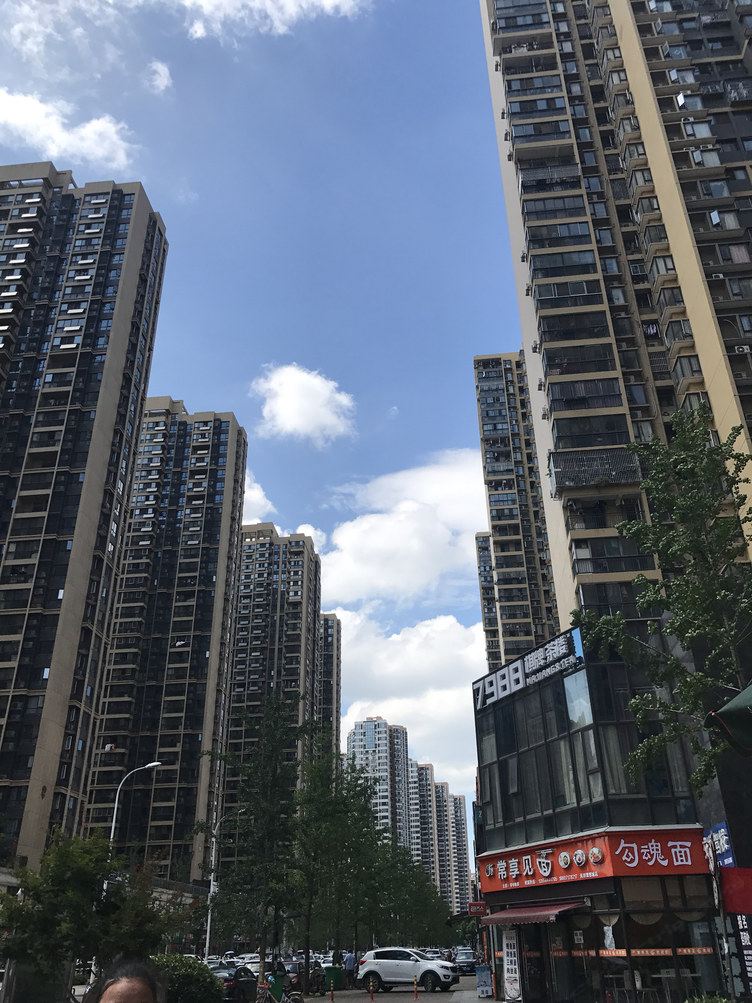 武汉小清新鹭之迷公寓(关南园路店)