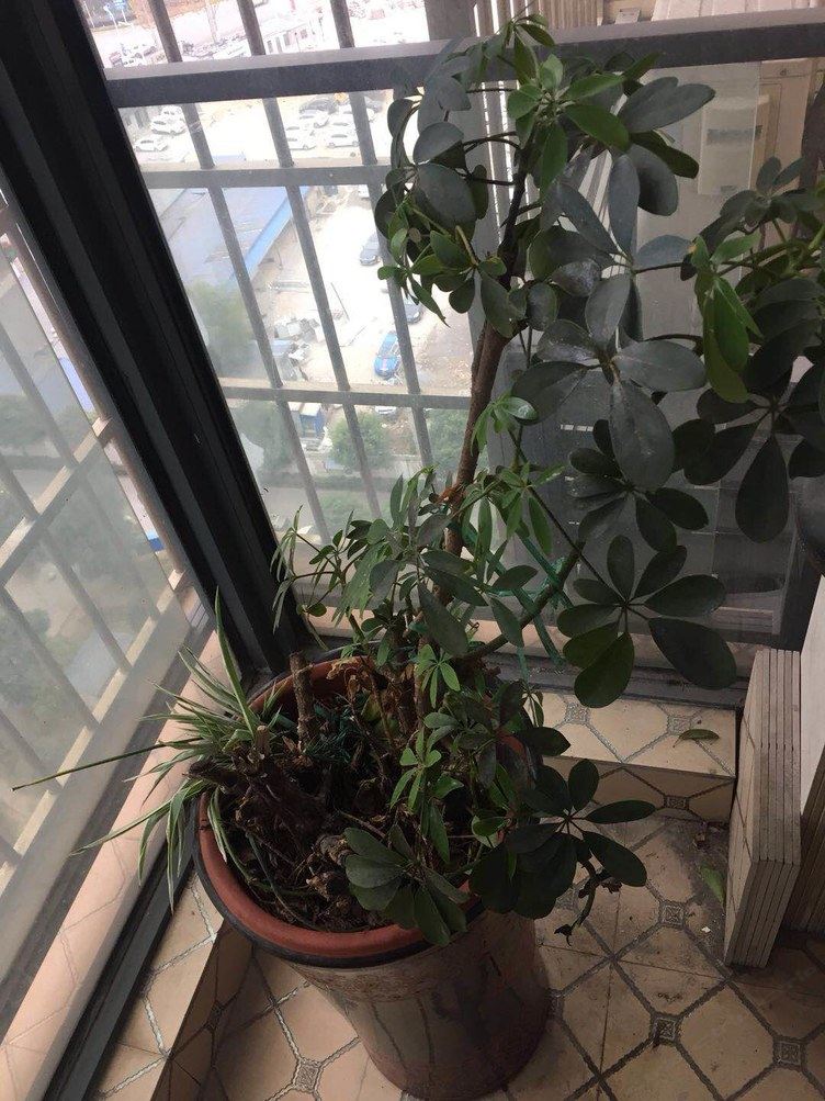 武汉顺馨公寓