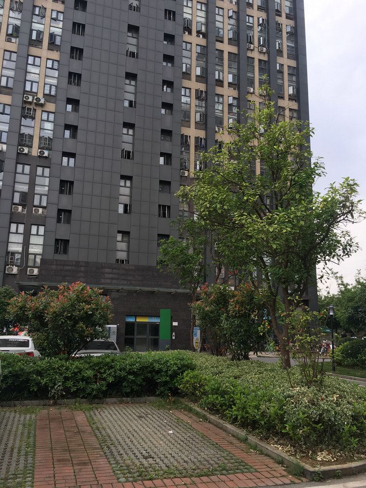 武汉武汉卜丁127公寓