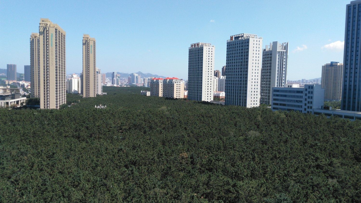 威海三只小猪的家酒店式公寓