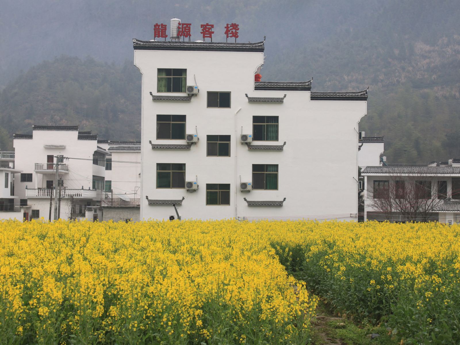 婺源江岭龙源客栈
