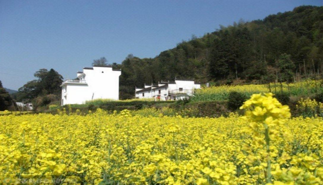 婺源李坑家庭客栈