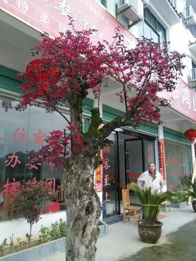 婺源李坑伟鸿山庄