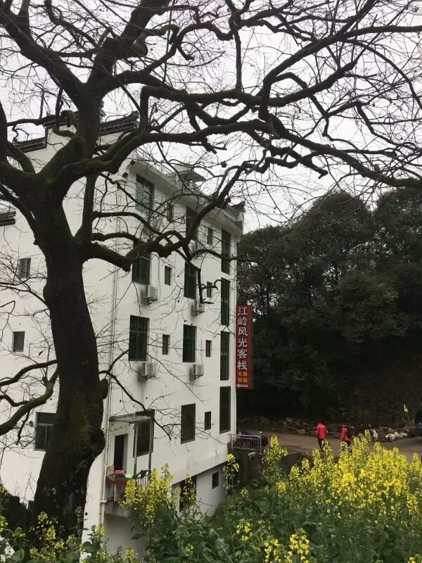 婺源江岭风光客栈