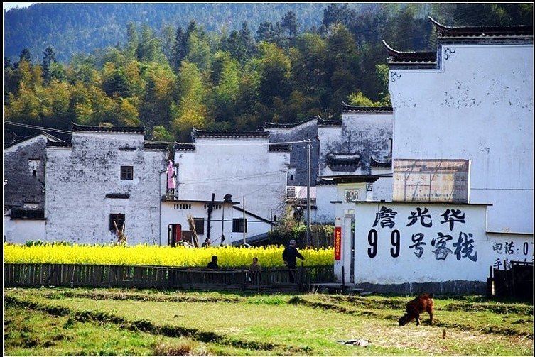 婺源沁庐庆源99号客栈