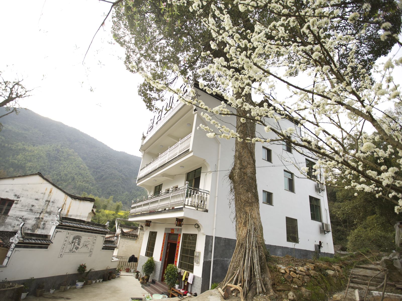 婺源江岭旭日山庄