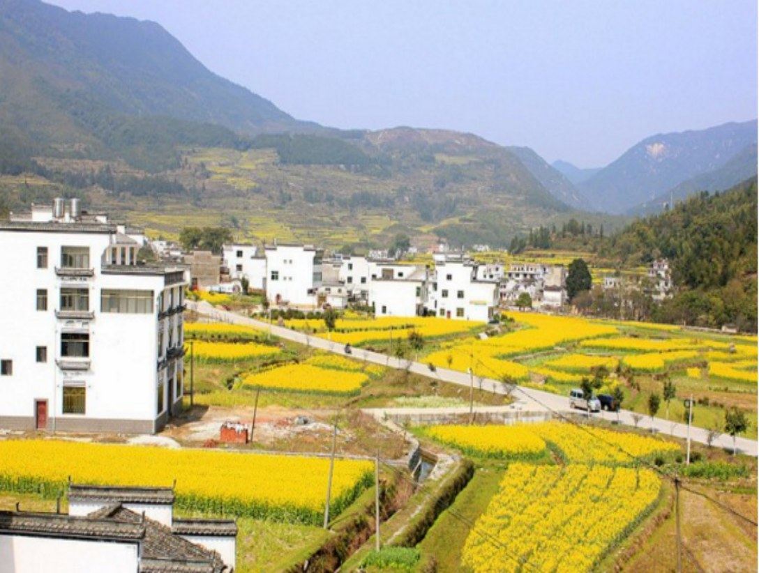 婺源观光山庄客栈