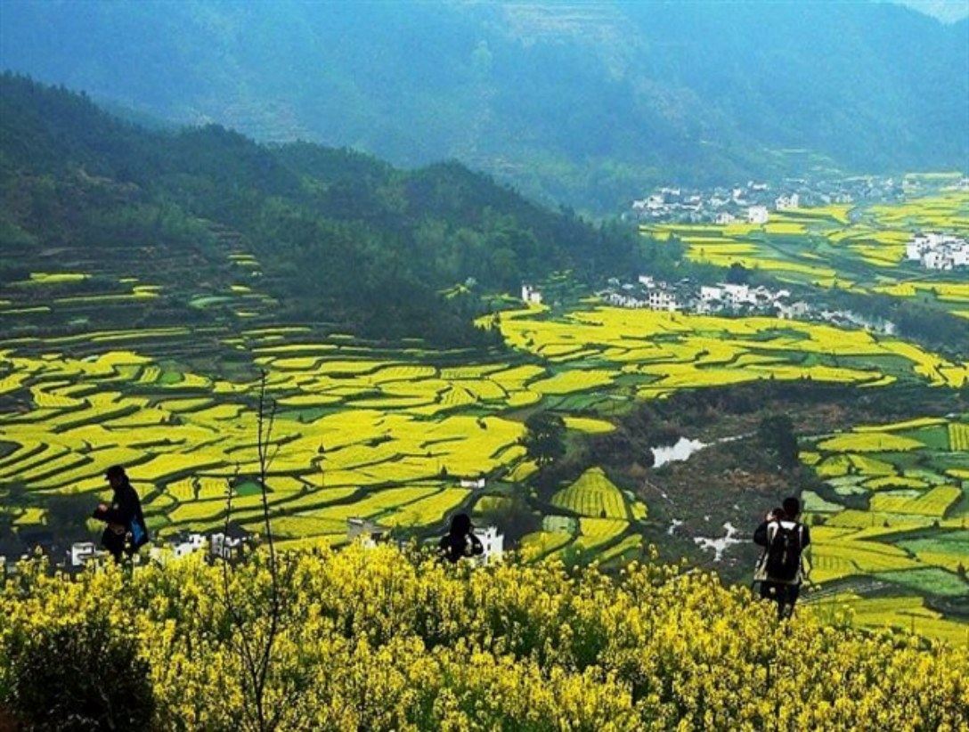 婺源詹老师客栈