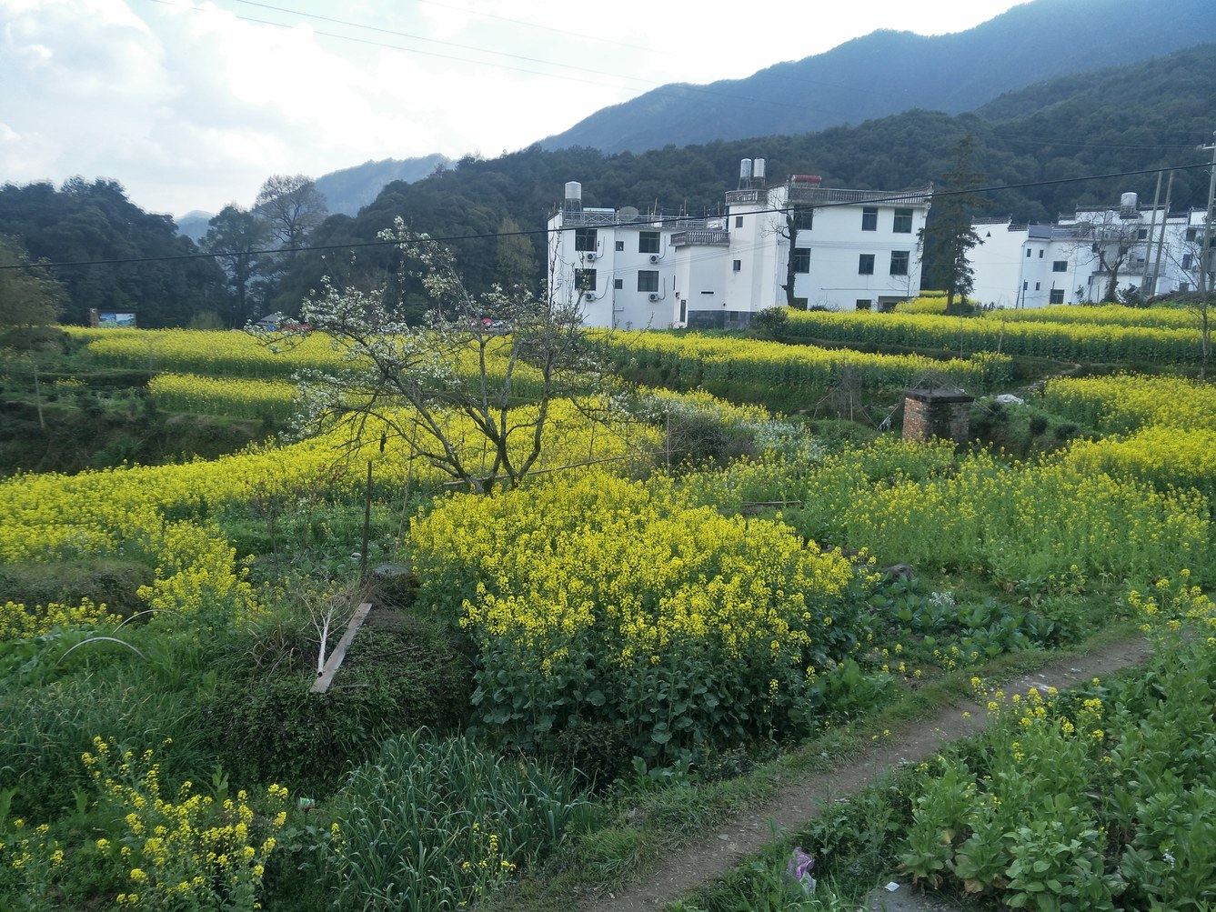 婺源天源山庄