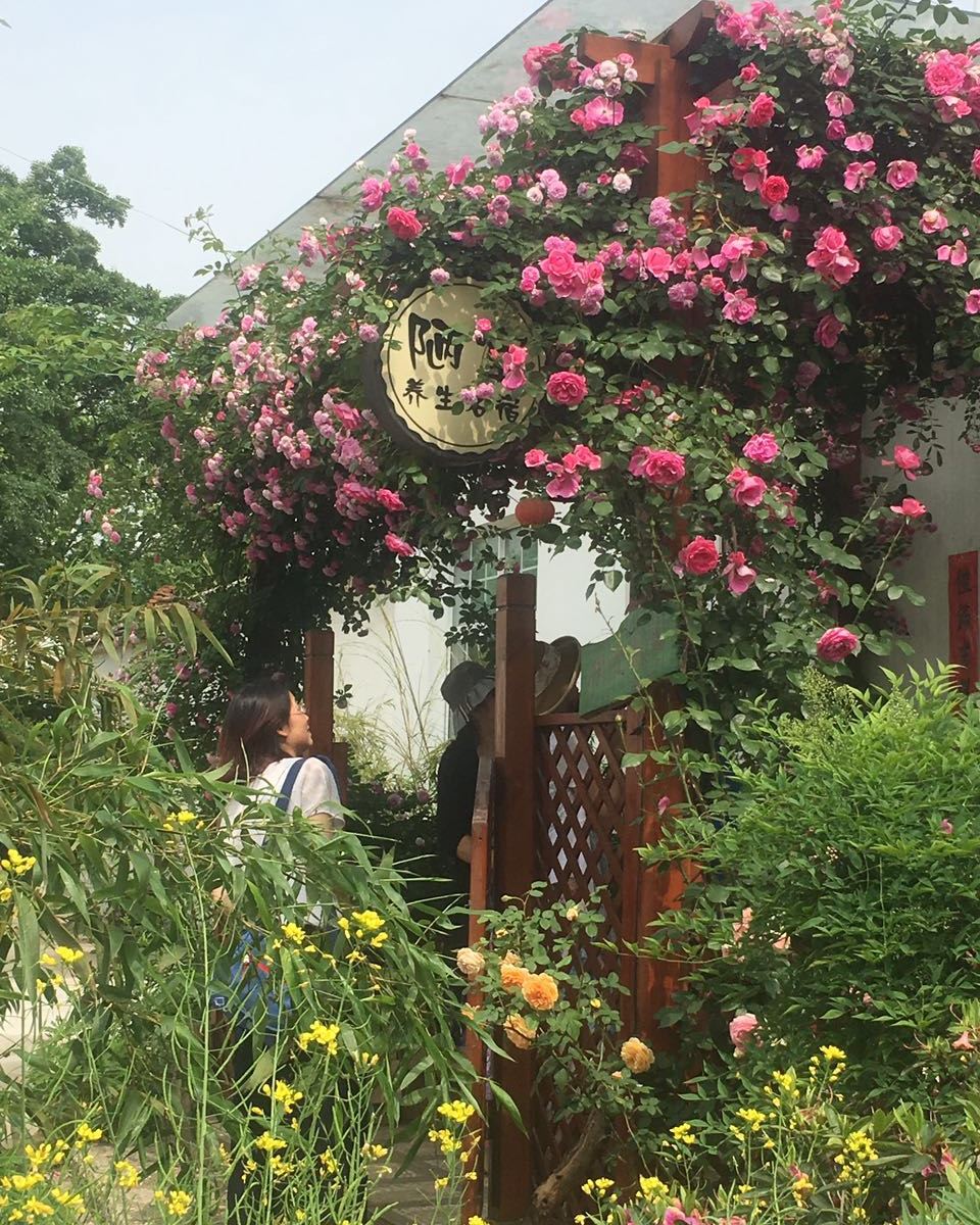 宜兴陋室养生民宿