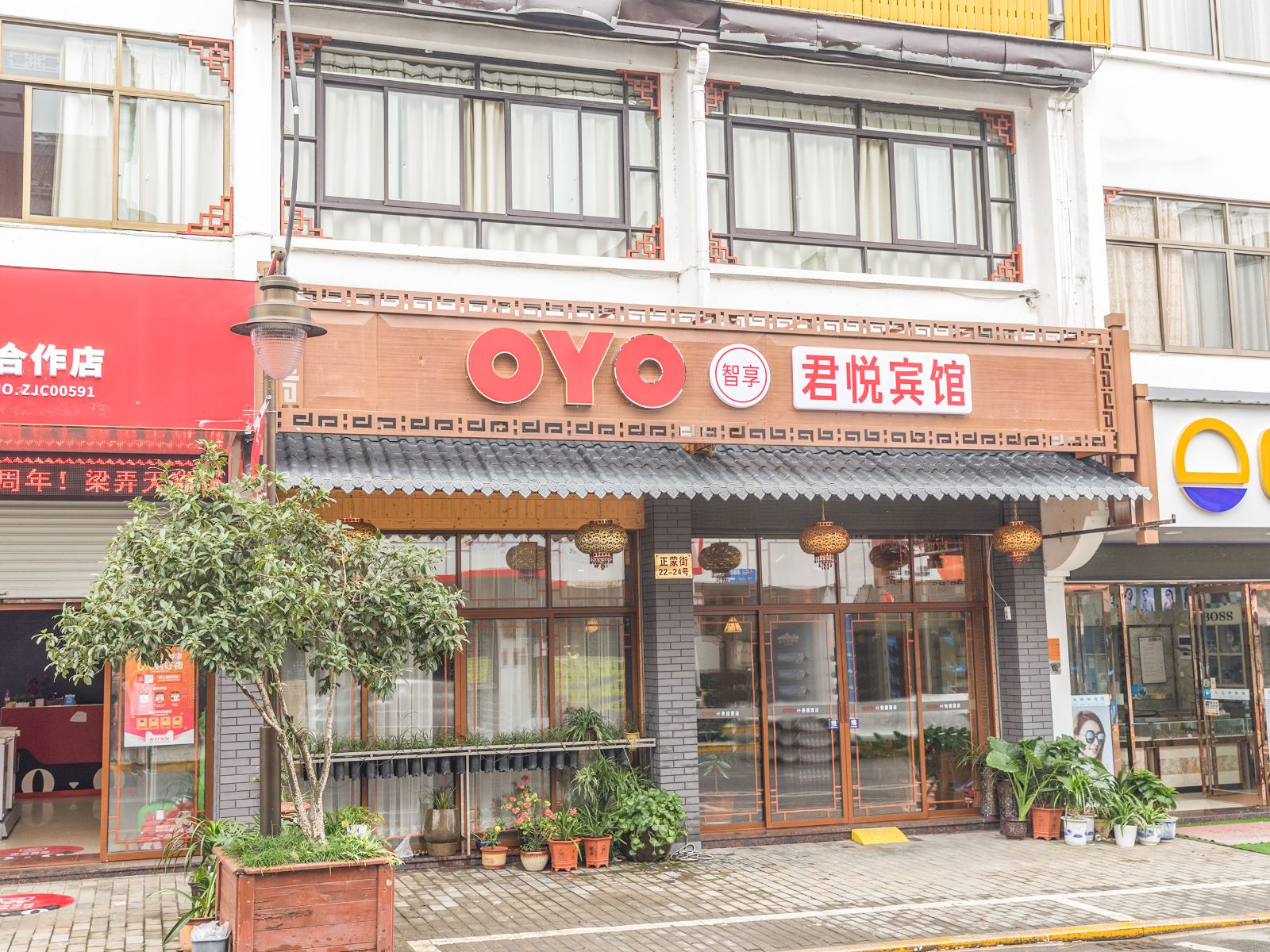 外观
