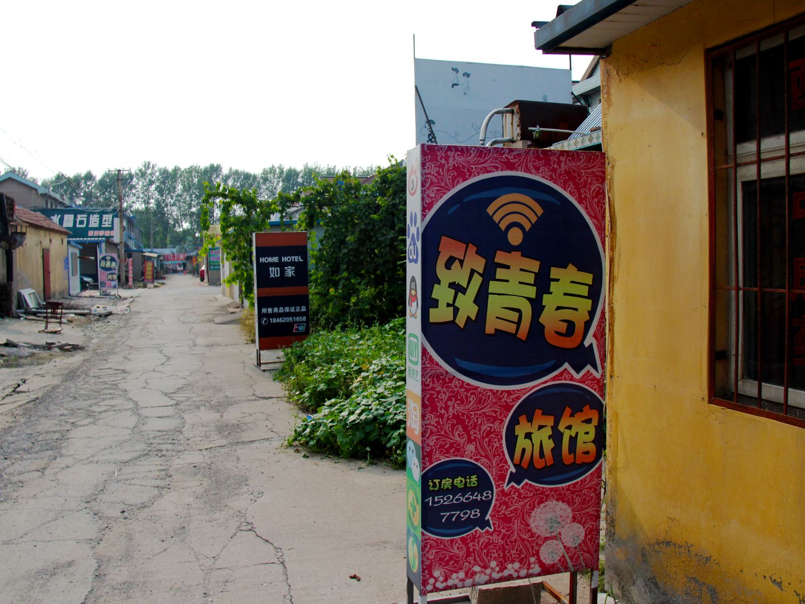 外观