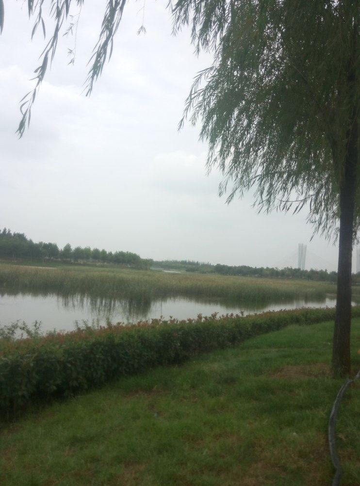 郑州硕硕公寓(北三环中州大道分店)