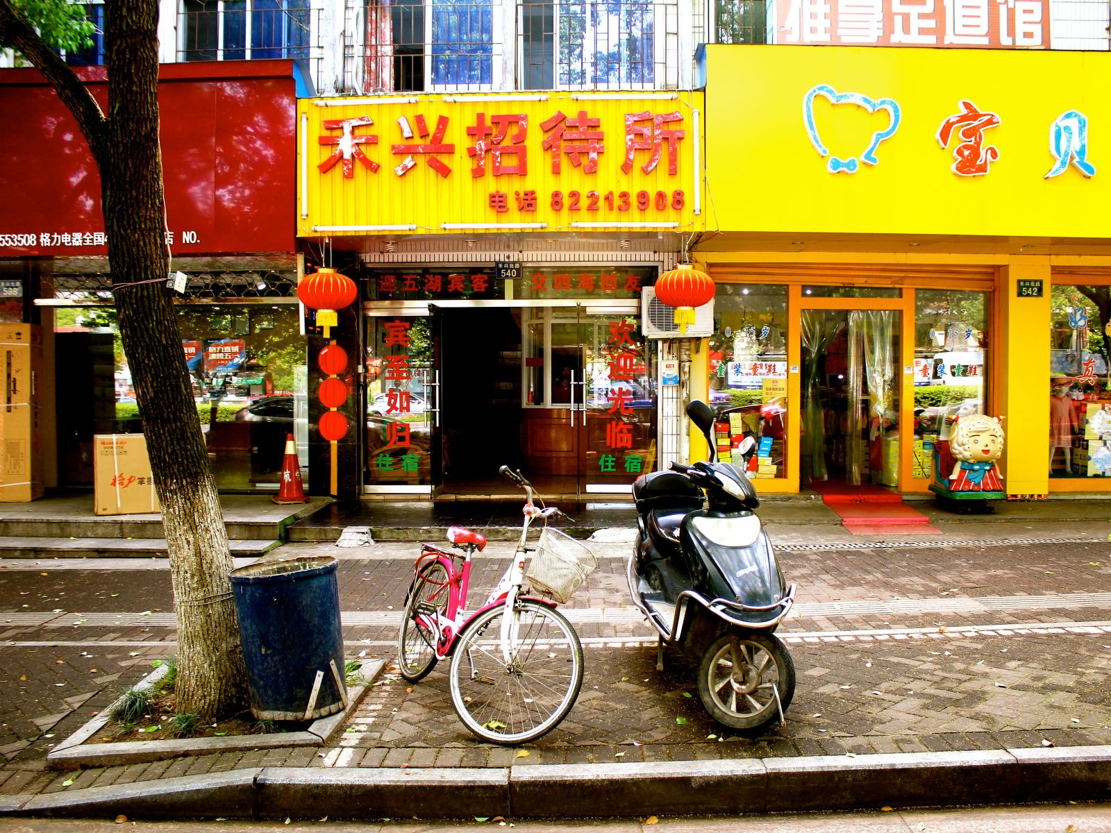 外观
