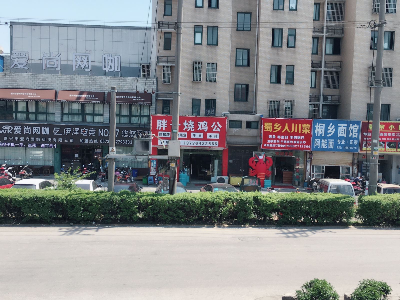 外观