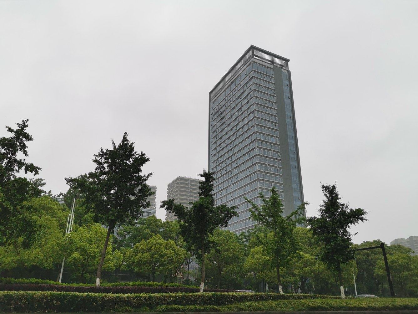 其他