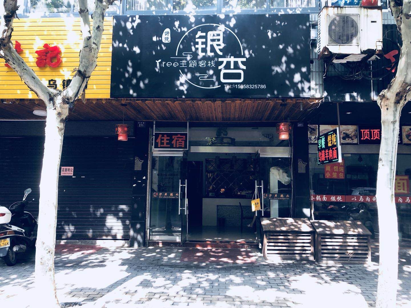 乌镇许院银杏tree主题客栈