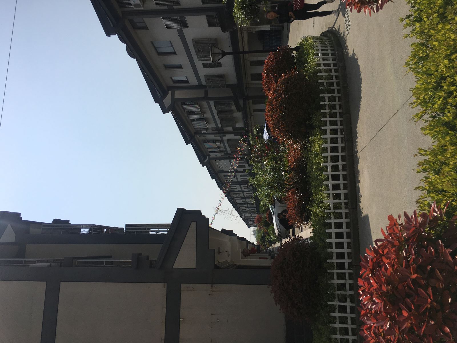 公共区域