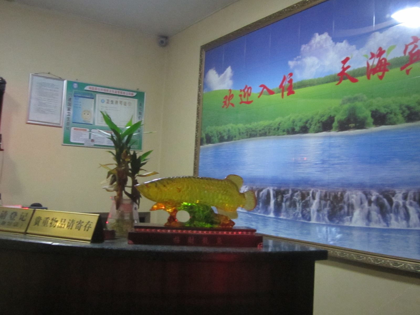 公共区域
